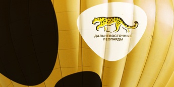 Дальневосточные леопарды: Логотип и фирменный стиль